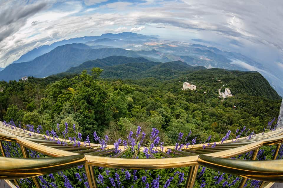 Golden Bridge Flower