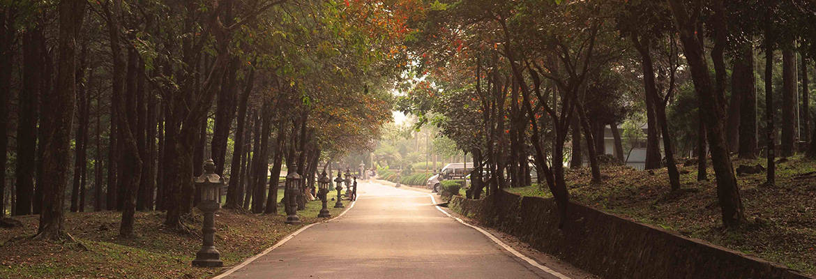 Ba Vi National Park, Hanoi