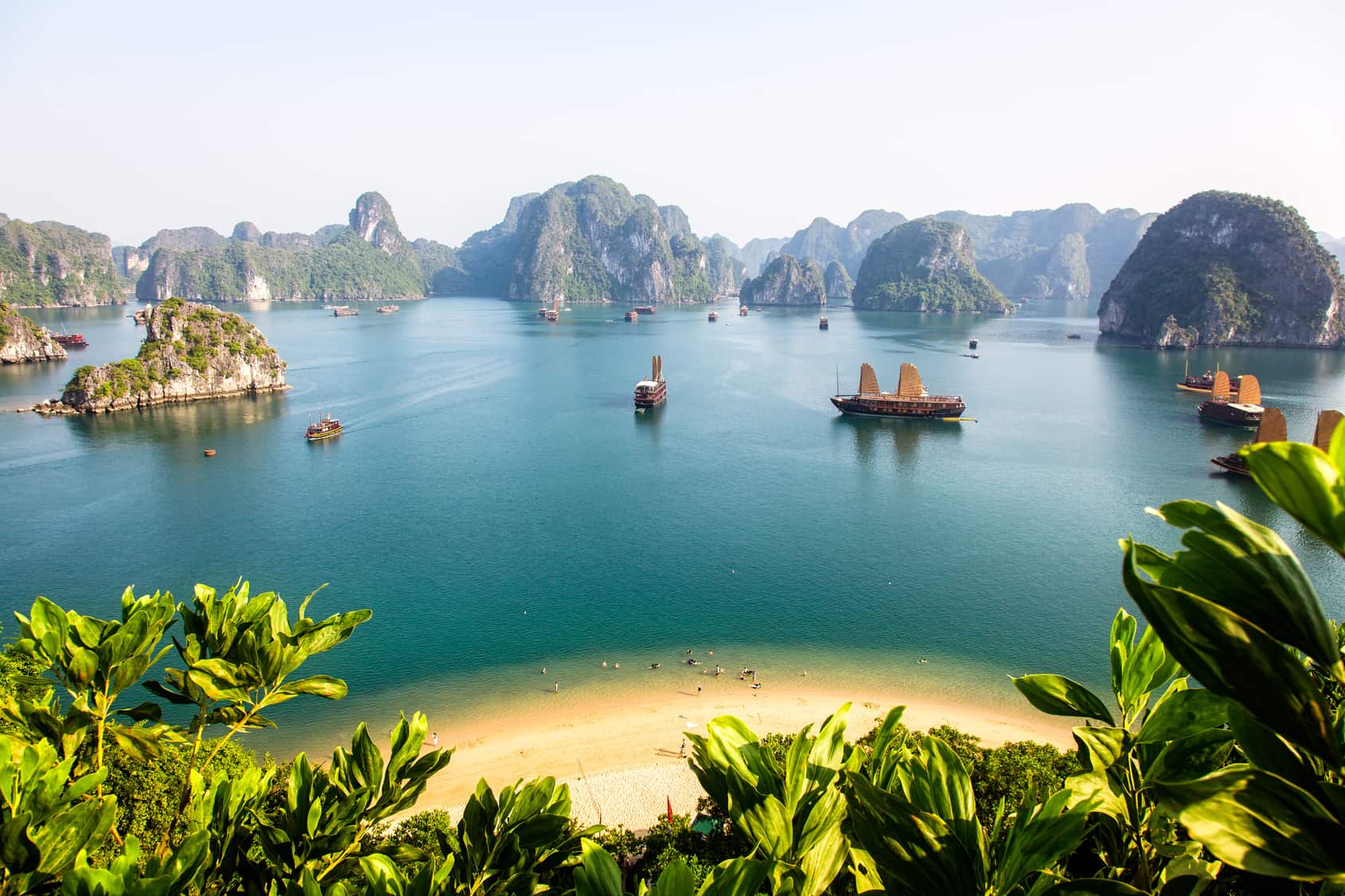 halong bay day trip or stay