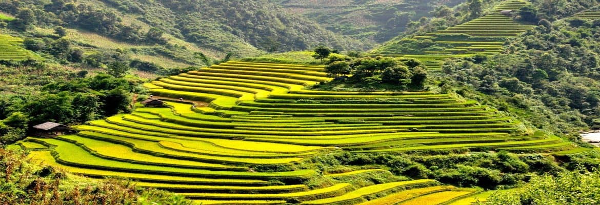 14 Rewarding Things to Do in Sapa for First-Timers