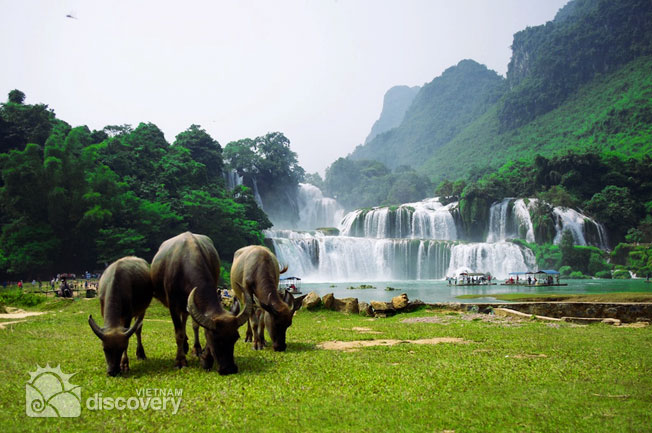 Ba Be Lake And Ban Gioc Waterfall Discovery Tour 4 Days 3 Nights2023