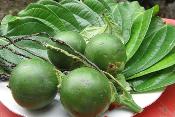 Areca nut and betel leaf in betel chewing