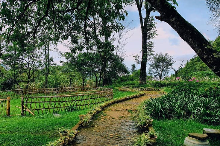 Flower garden at Ham Rong mountain