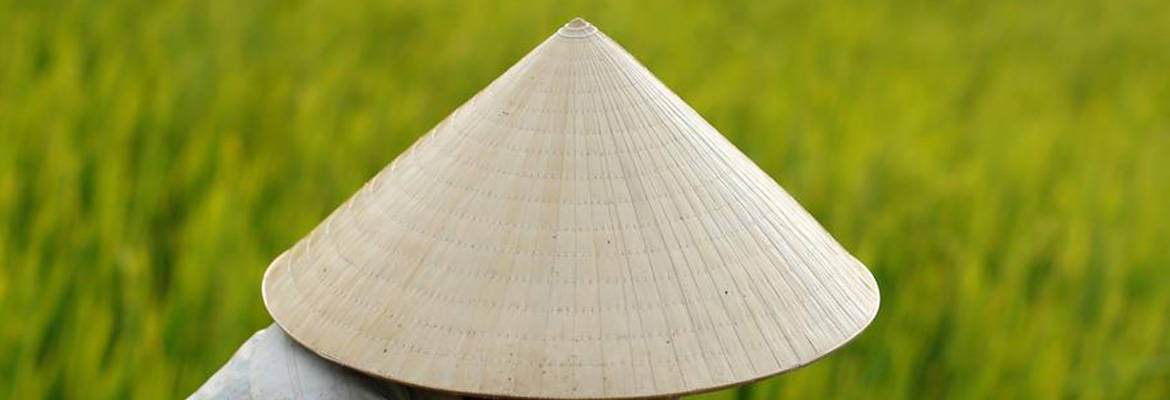 frugtbart at donere Recept Conical Hat - A Piece of Vietnam