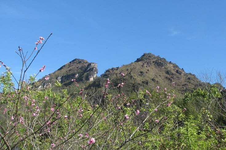 Ham Rong mountain in Spring