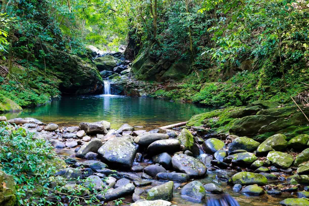 Bach Ma National Park - national parks in Vietnam