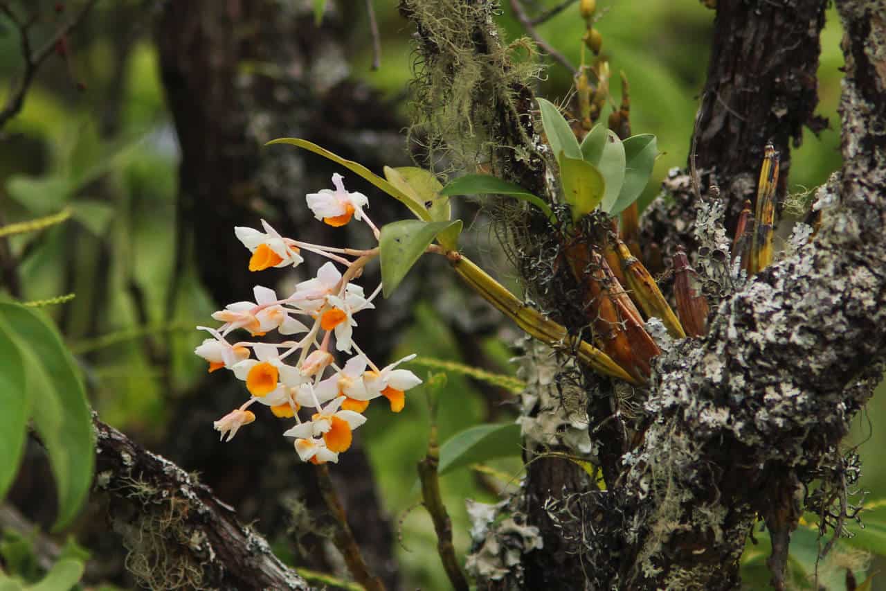 Phu Quoc National Park