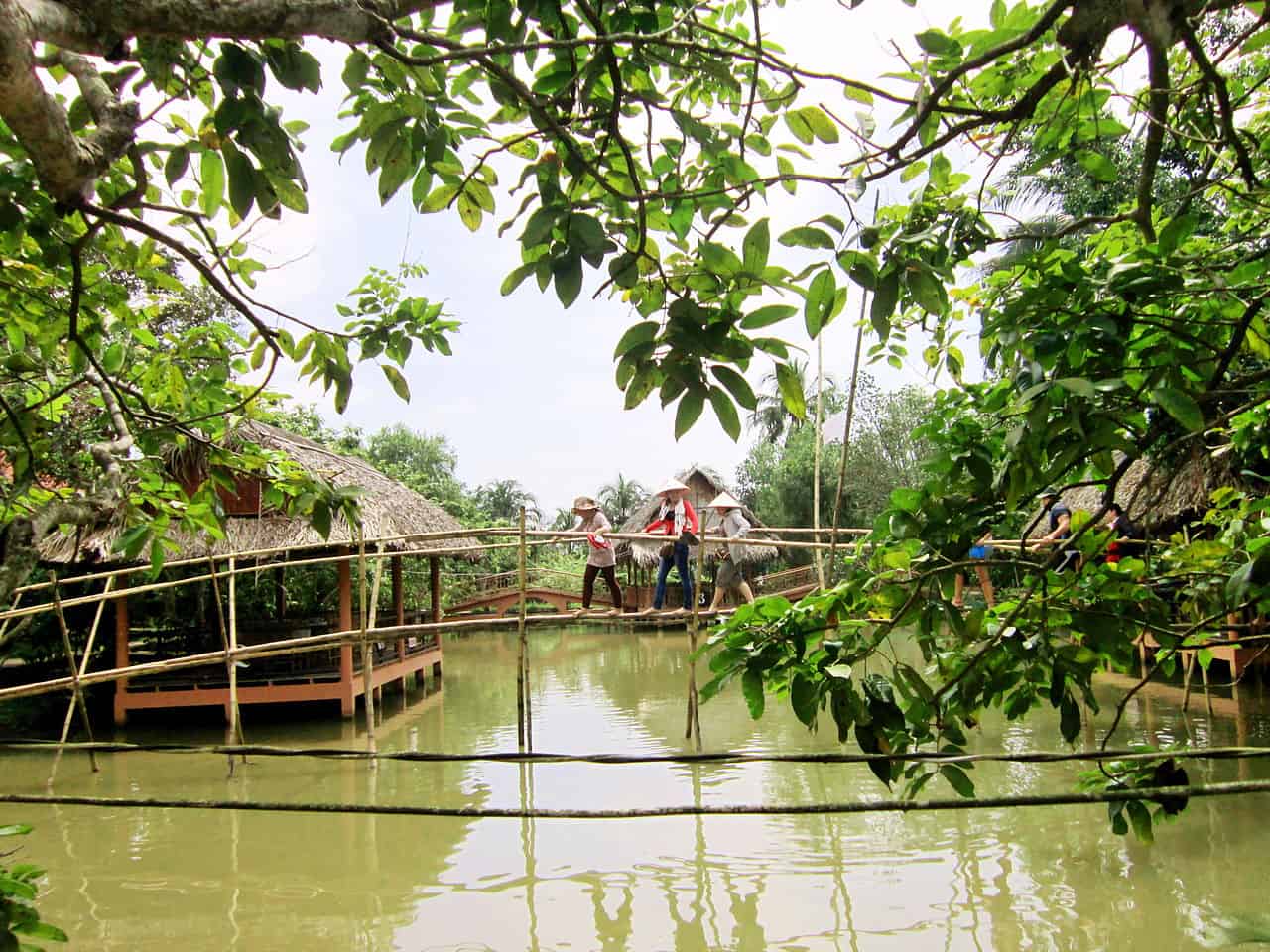 Go across Monkey bridge in Mekong Delta