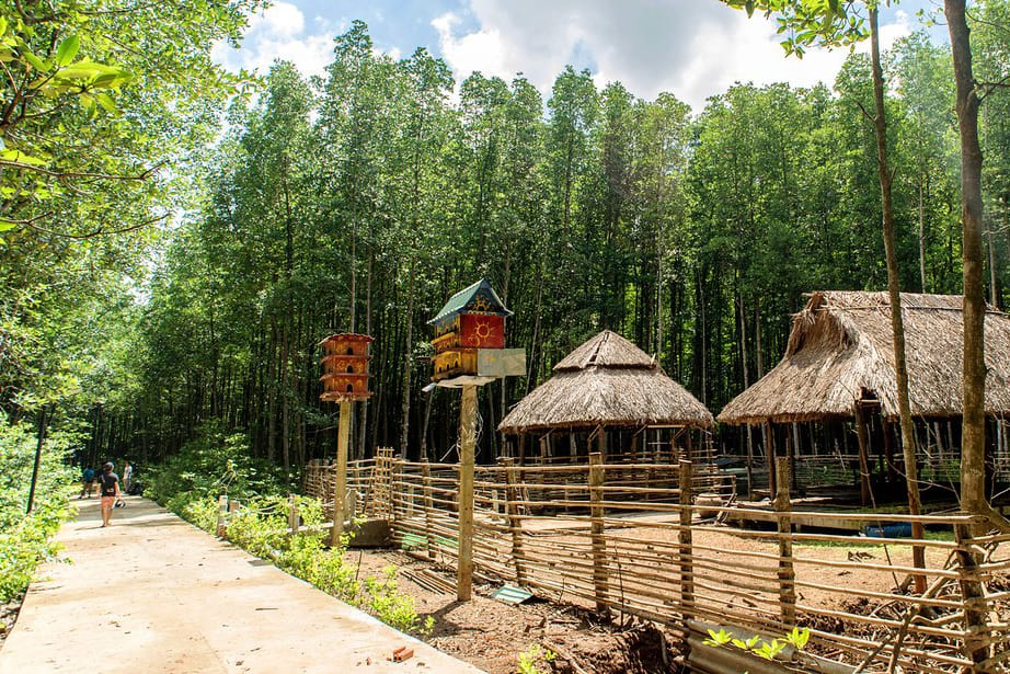 Inside Can Gio Biosphere Reserve