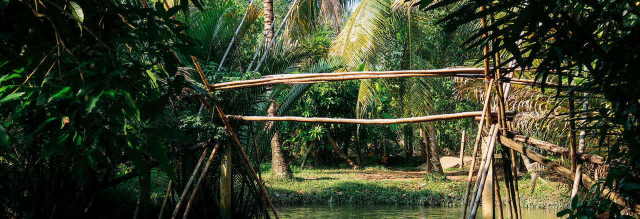 Monkey Bridge - The Most Amazing Experience in Mekong Delta Vietnam