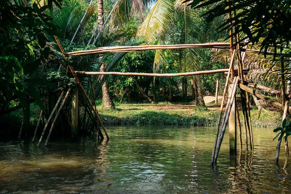 Monkey Bridge The Most Amazing Experience in Mekong Delta Vietnam