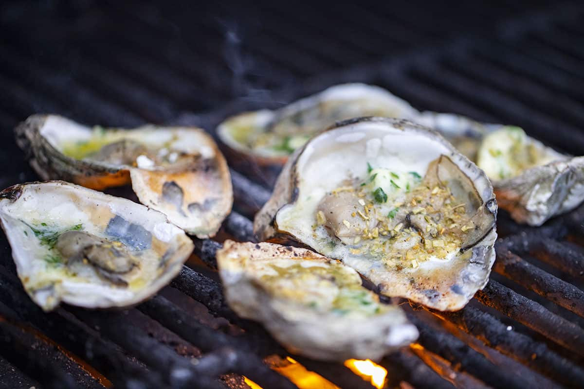 Grilled-oysters