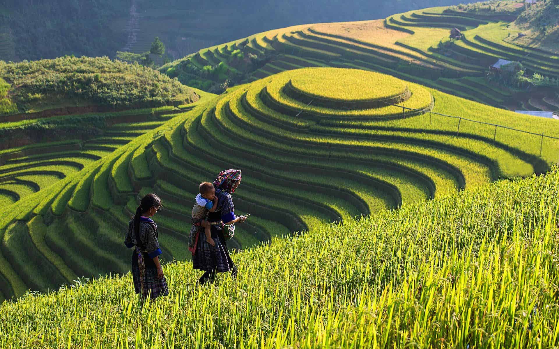 Highlights of Lao Chai Village