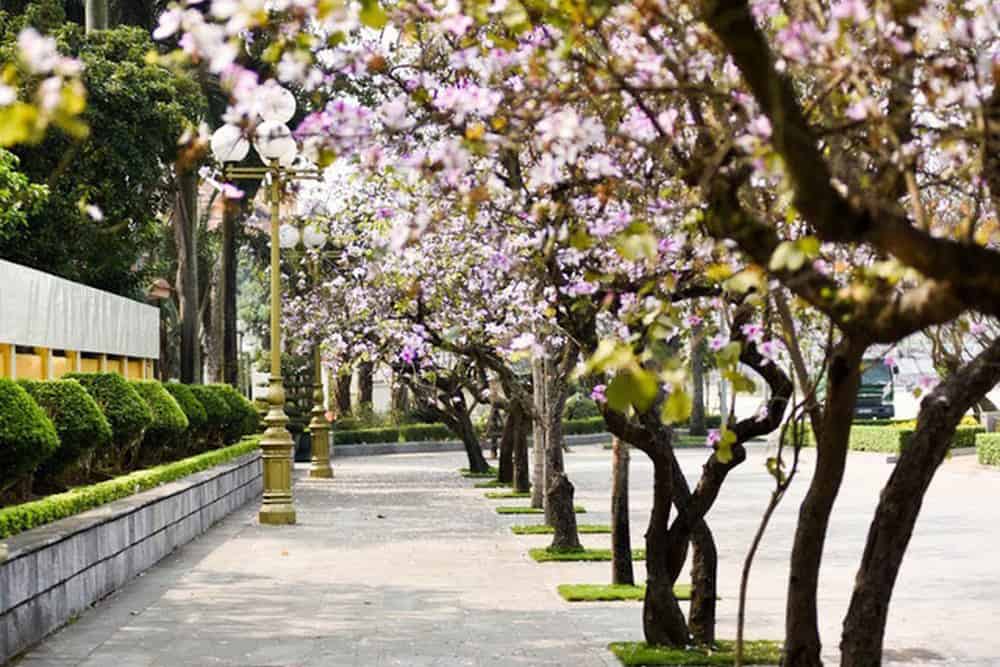 How to explore Hanoi in March