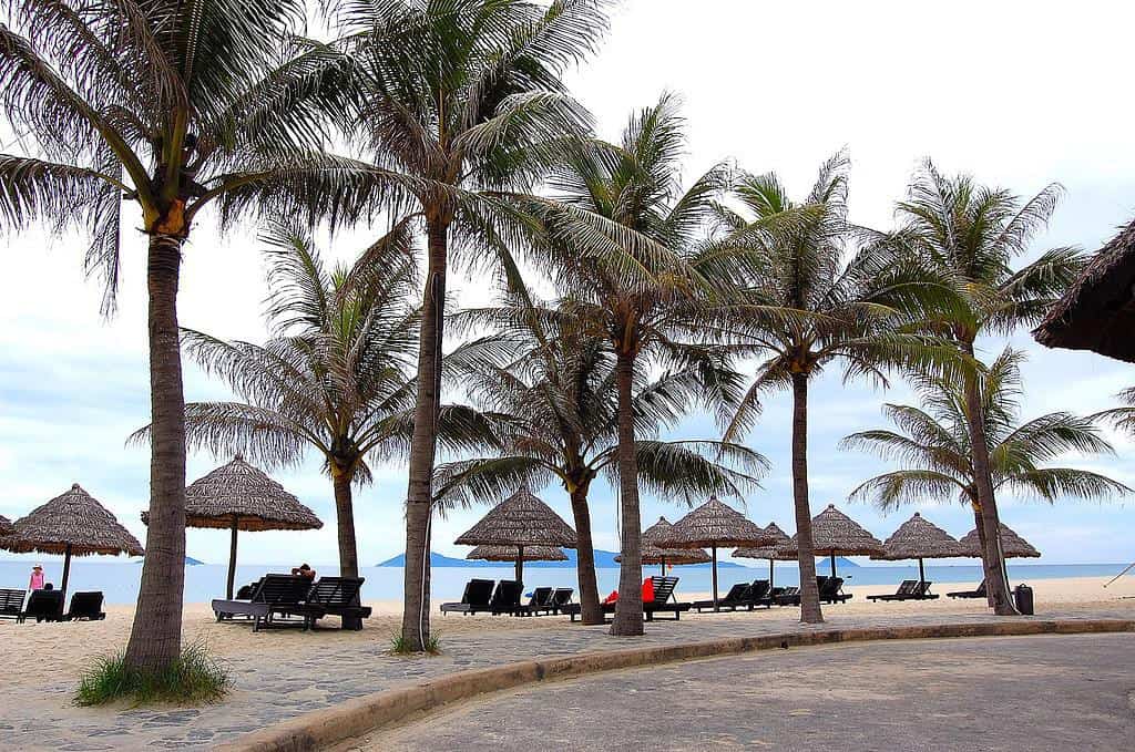 Cua Dai Beach Overview