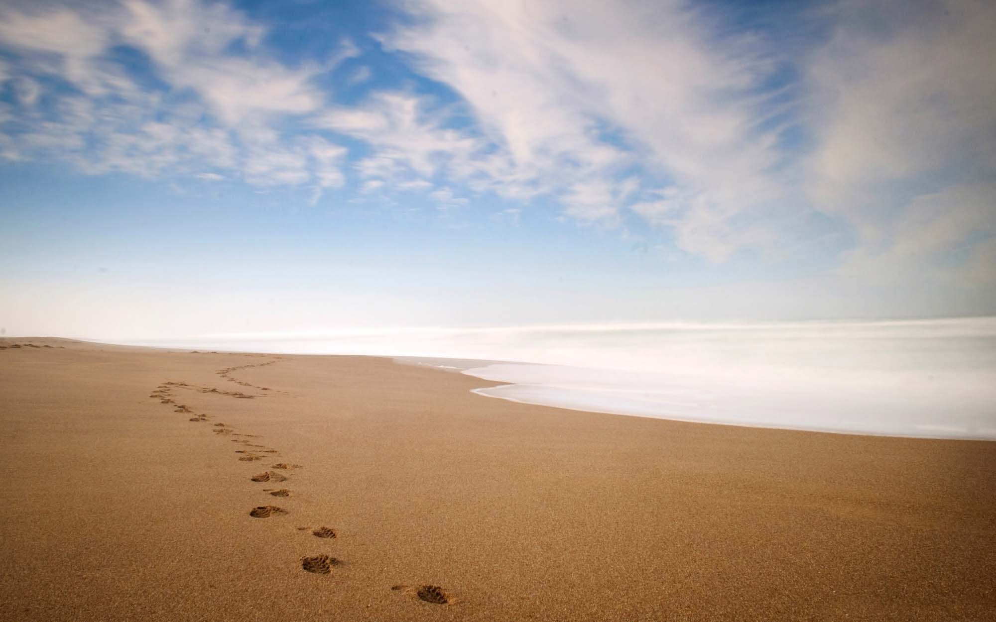 Highlights of Minh Chau beach