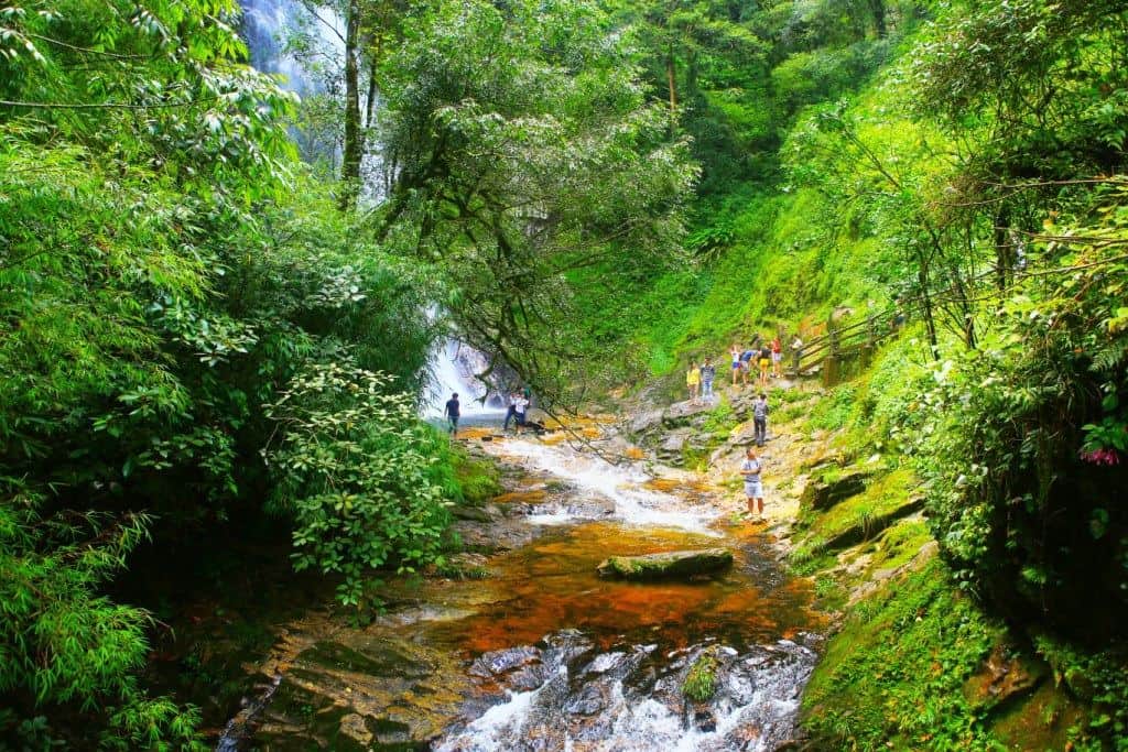 Phu Quoc National Park (Kien Giang Province)