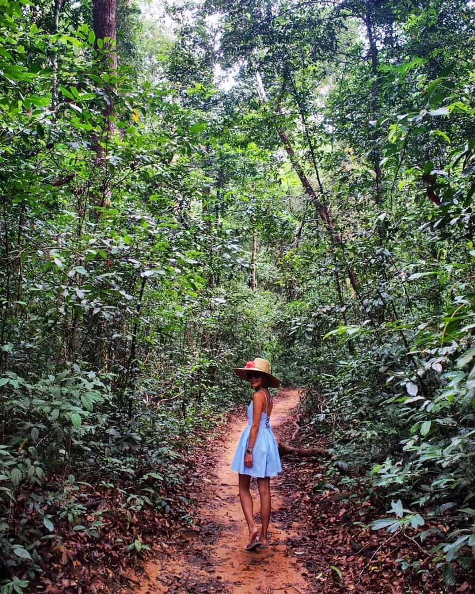 Phu Quoc National Park Topography