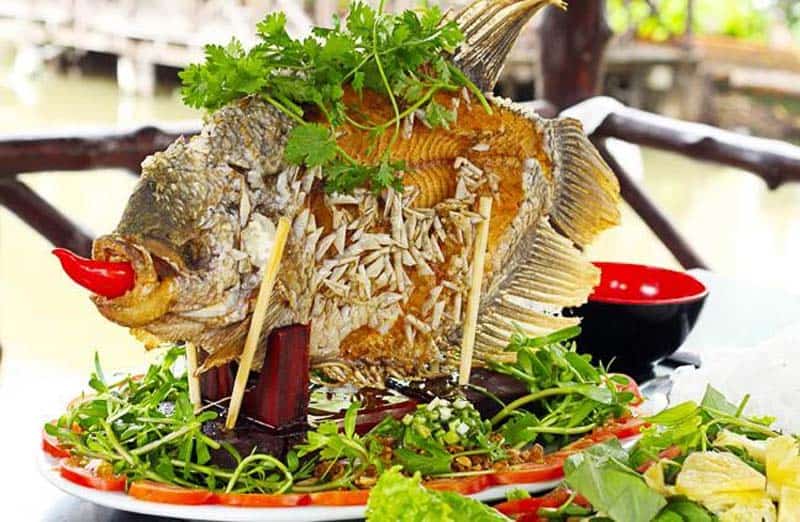 U Minh Thuong National Park Fish
