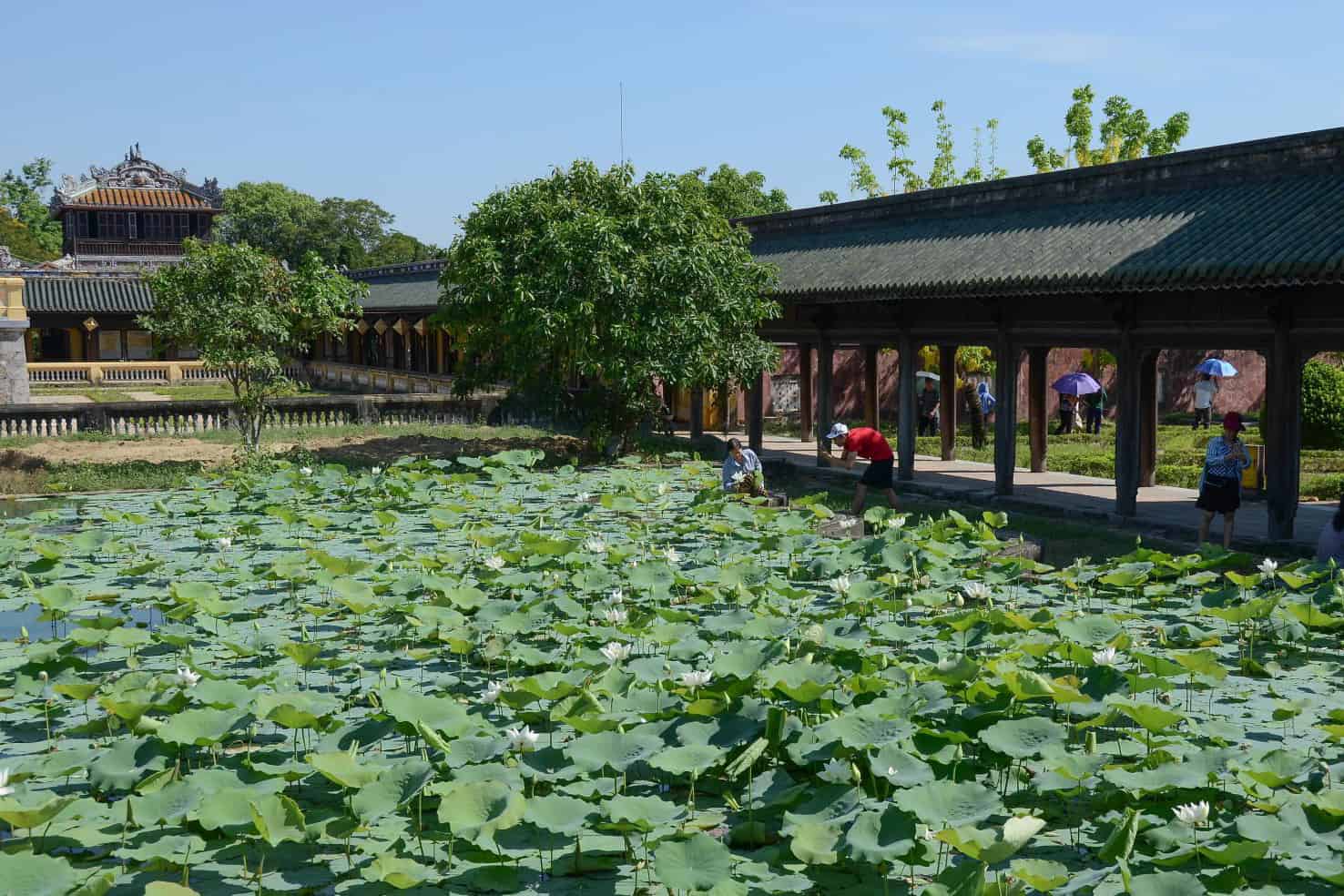 Phuoc Tich Ancient Village in Hue: a Visit Back through Time