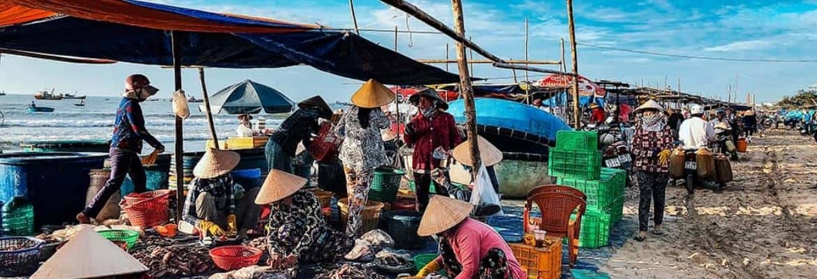 4 Best Markets in Mui Ne - Phan Thiet for Shopping and Seafood Buying