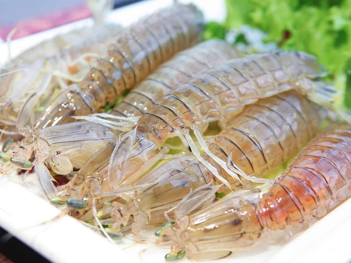What to eat in Vung Bau beach - seafood