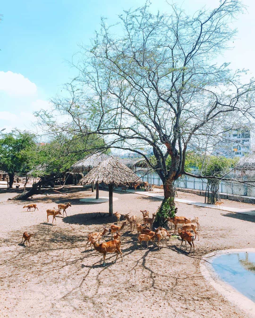 A corner of Thao Cam Vien park