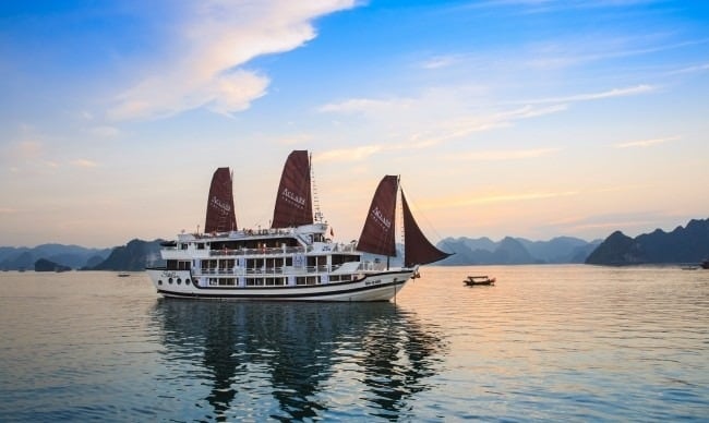 Stellar Cruise: The Ultimate Cruise Experience in Halong Bay