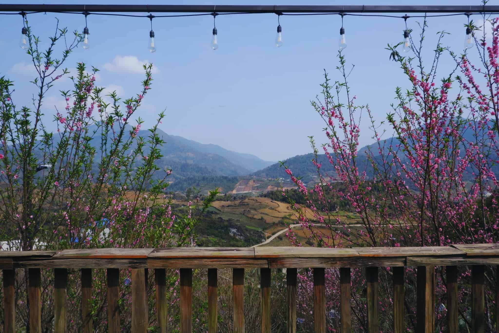 View at Ta Phin Cottage homestay in Sapa