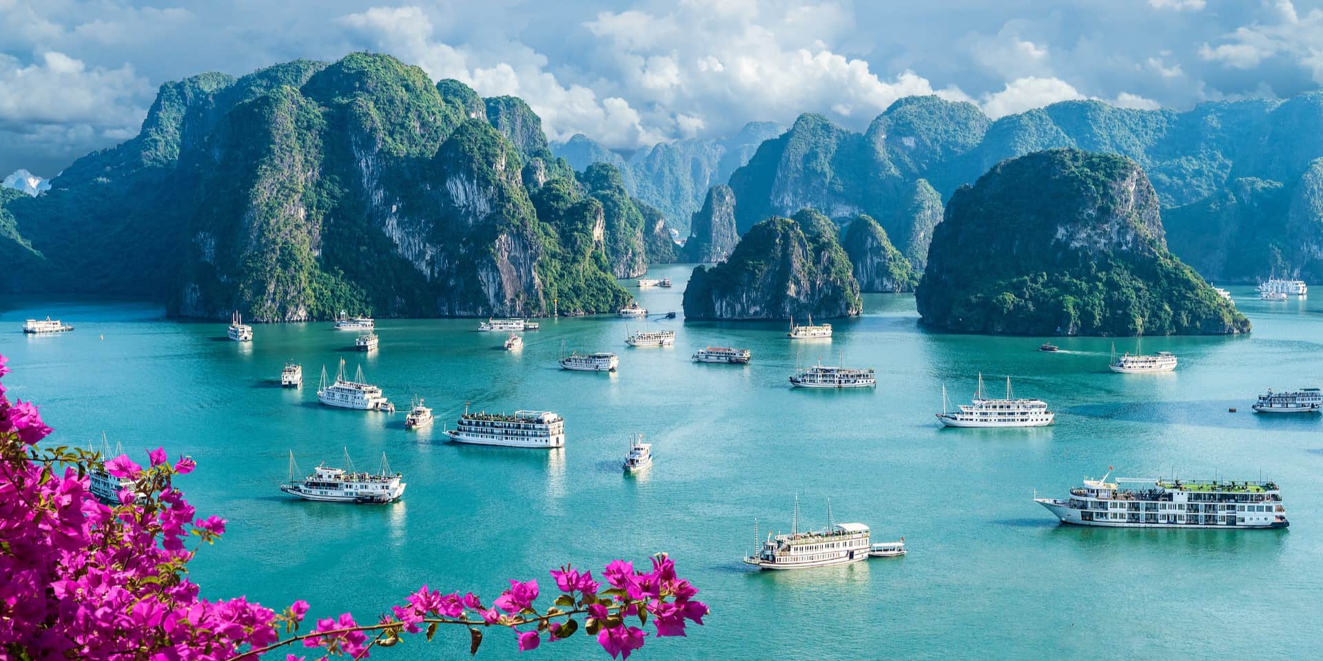 best halong bay cruise