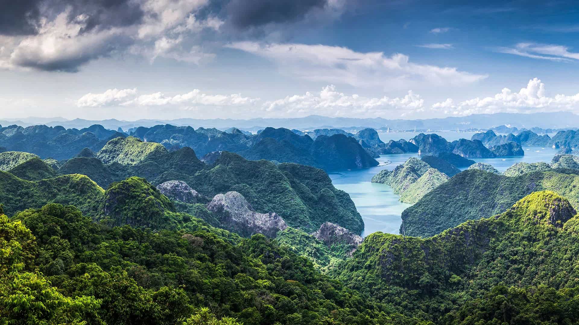3-Day Cat Ba Adventure: Rock Climbing & Cruise