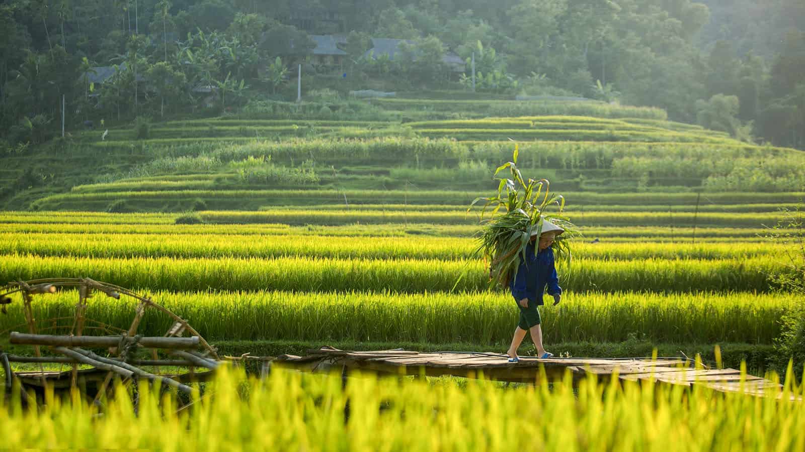 Pu Luong Trekking Tour 3N2D