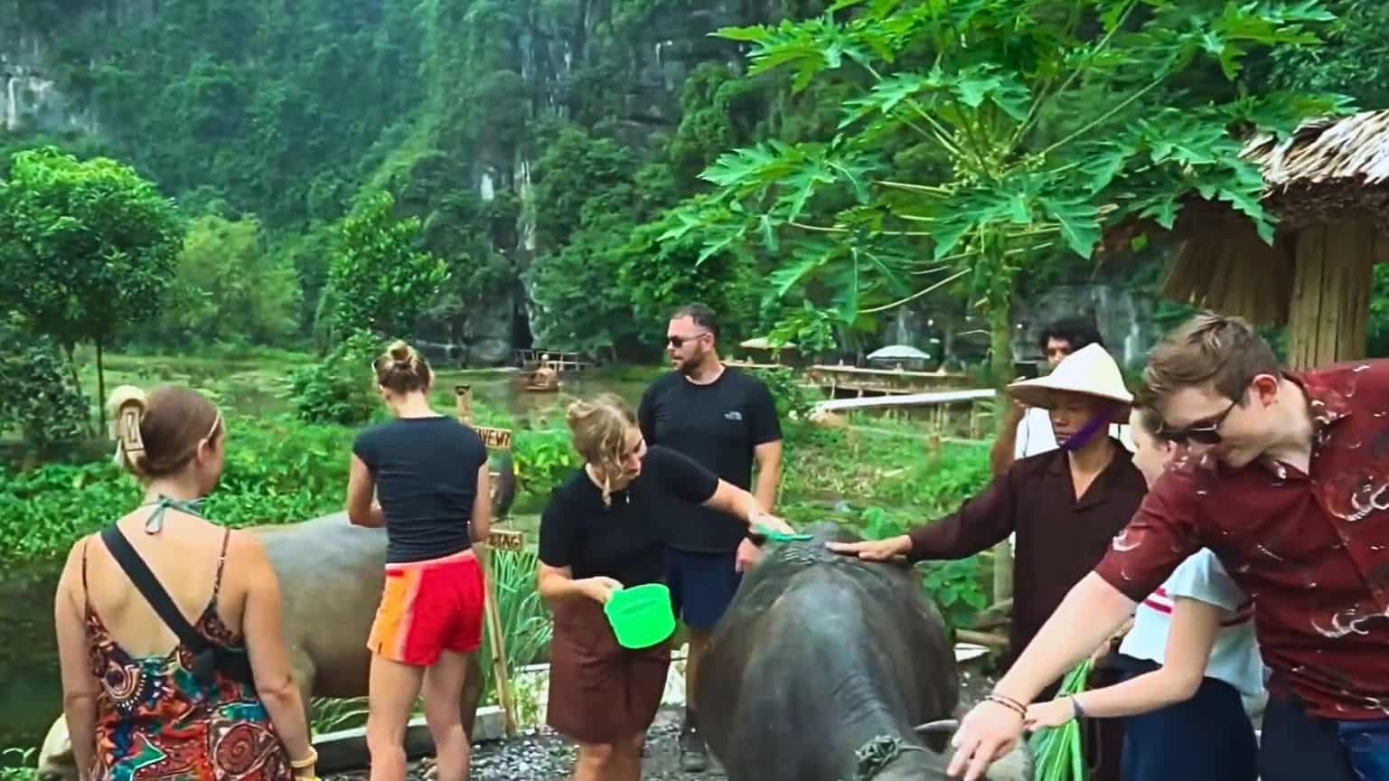 Buffalo Cave Ninh Binh: tourists enjoy activities 