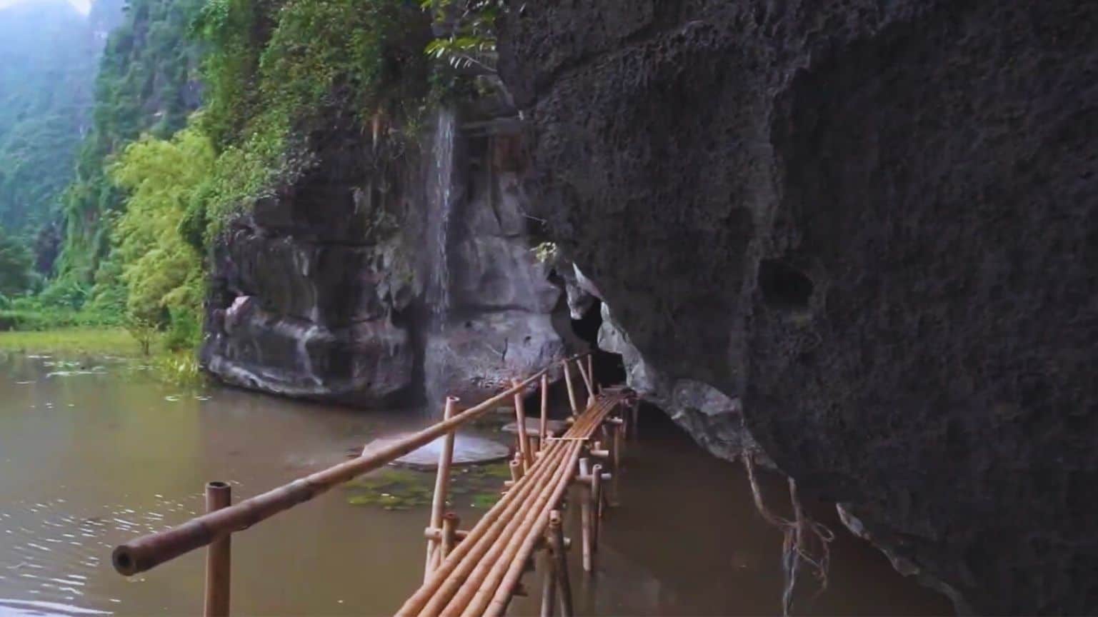 Buffalo Cave Ninh Binh: beautiful and wild scence 