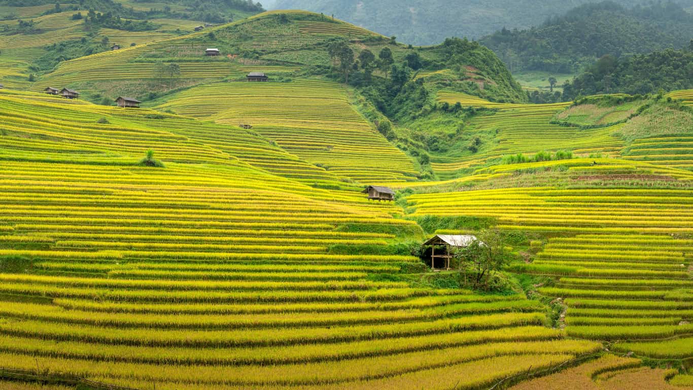 Sapa to Ninh Binh: Fast, Scenic, and Stress-Free Travel Tips