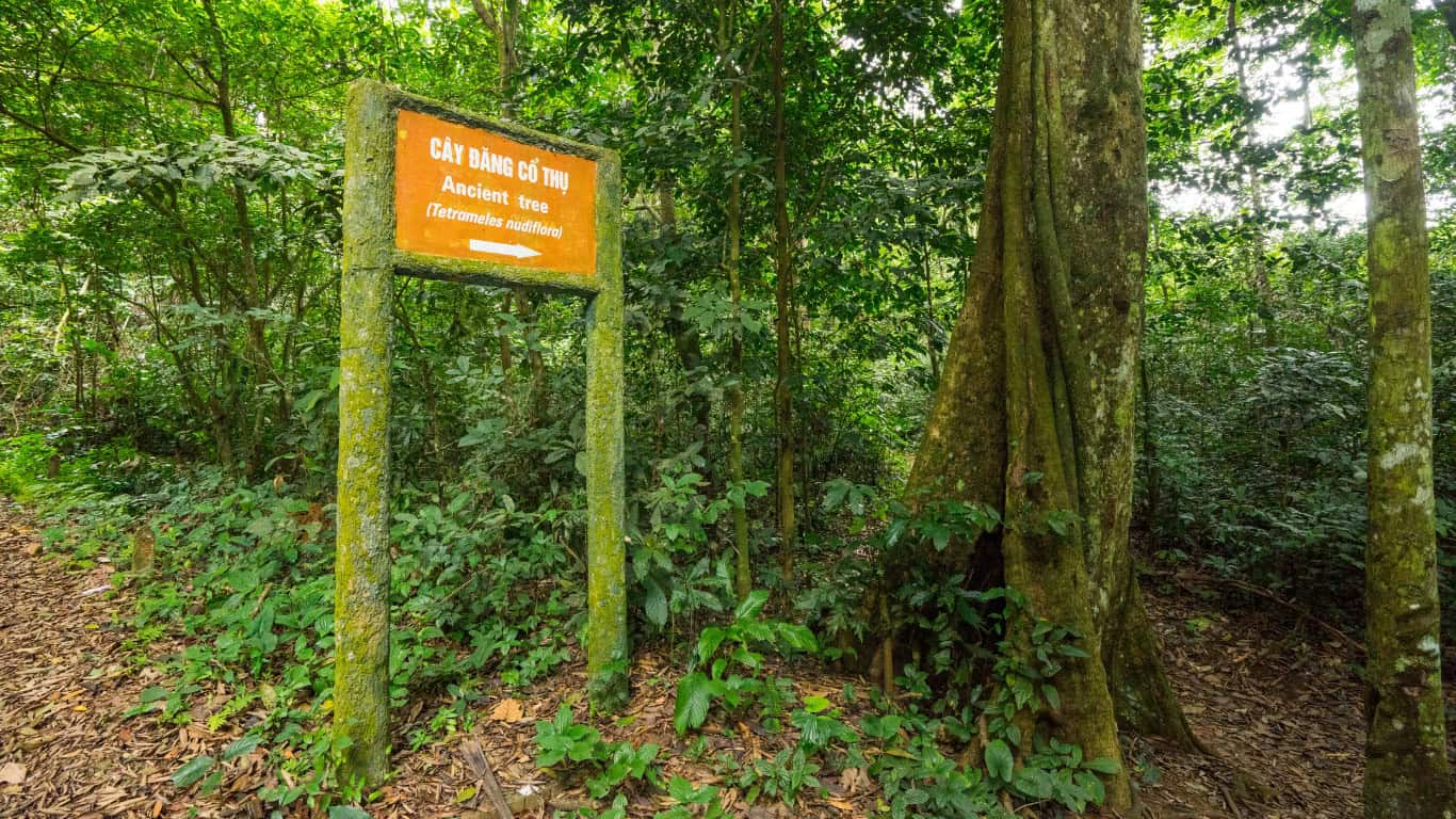 cuc phương national park ninh binh forest 
