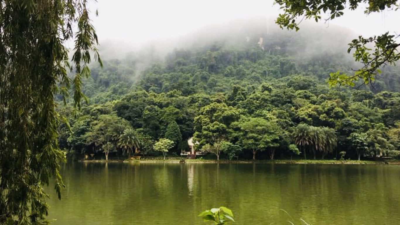 cuc phương national park ninh binh tranquil space  