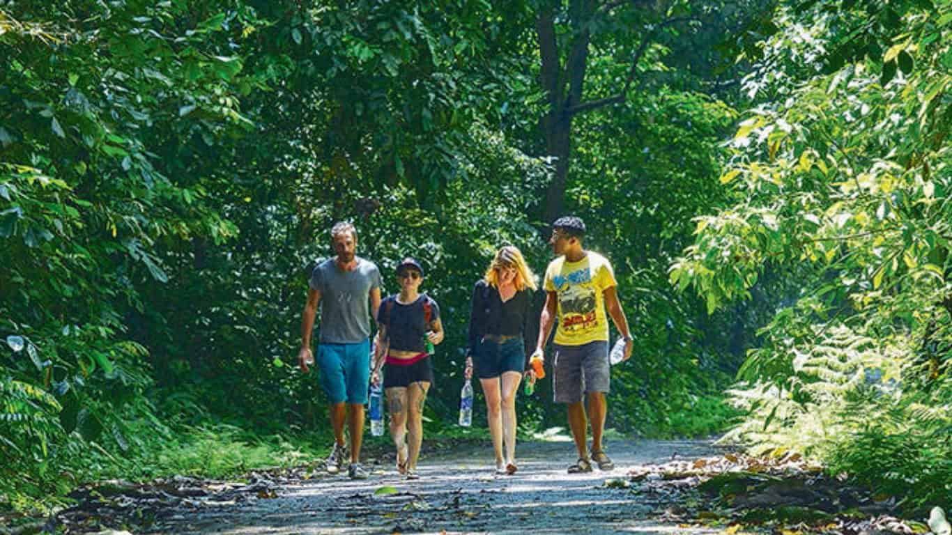 cuc phương national park ninh binh trekking 