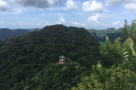 Cat Ba Canyoning & Climbing Adventure