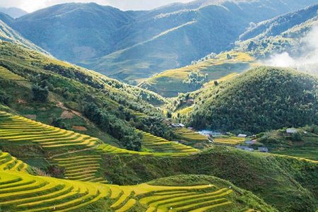 Hoang Lien National Park Travel Guide In Sapa