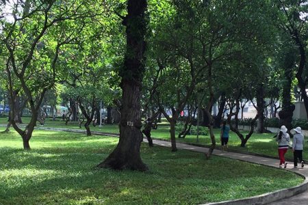 Le Van Tam Park in Ho Chi Minh City