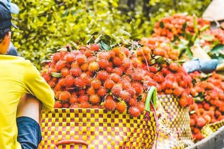 My Tho Fruit Market in Tien Giang