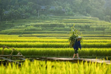 Pu Luong Trekking Tour 3N2D