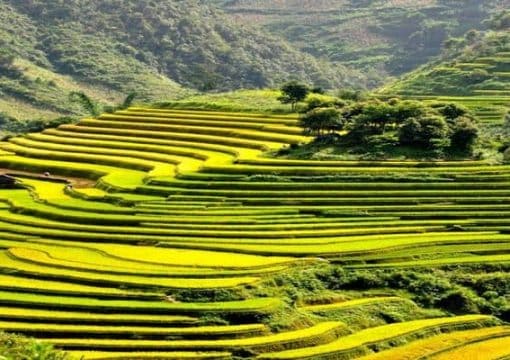14 Rewarding Things to Do in Sapa for First-Timers