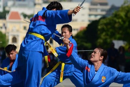 Vietnamese Traditional Martial Arts Festival