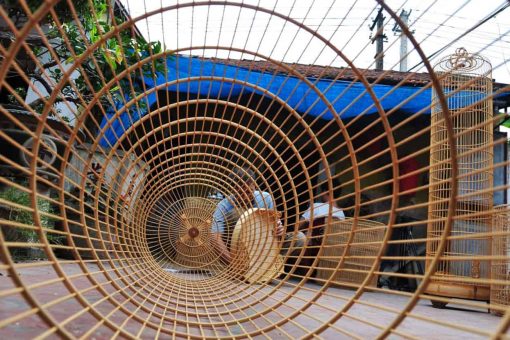 Vac Bird Cage Making Village: a Unique Traditional Destination in Hanoi