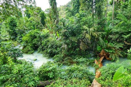 Yok Don National Park – The Vietnam’s Biggest Protected Area