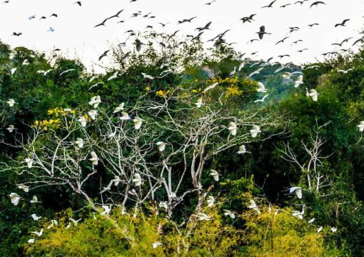 Ninh Binh City Centre: Explore the Heart of Northern Vietnam