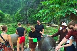 Discover Buffalo Cave Ninh Binh: Vietnam’s Quiet Cave Escape for Nature Lovers