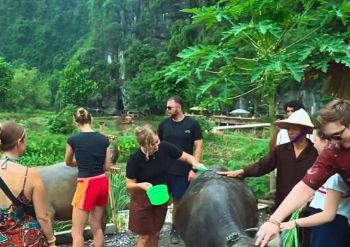 Discover Buffalo Cave Ninh Binh: Vietnam’s Quiet Cave Escape for Nature Lovers